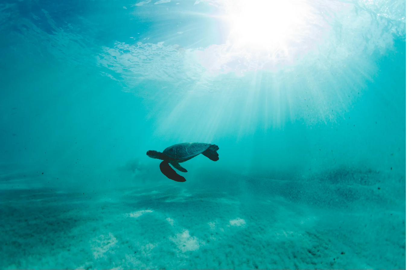 Kona Coast with boats and ocean