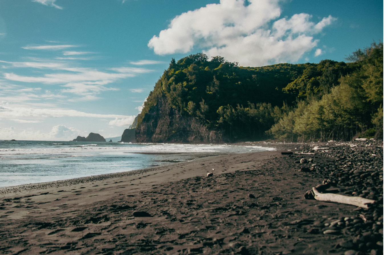 Punalu'u Black Sand Beach