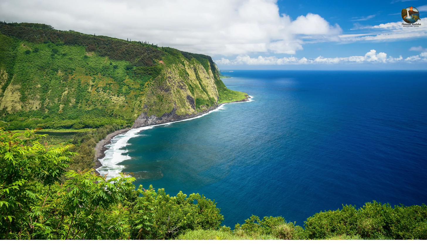 Waipio Valley dramatic cliffs and coastline